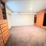 Basement Bedroom